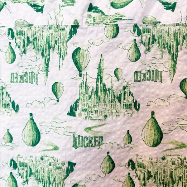 Aerie X Wicked Button Up Shirt Small Oversized Musical Witch Glinda Elphaba‎ - Image 4