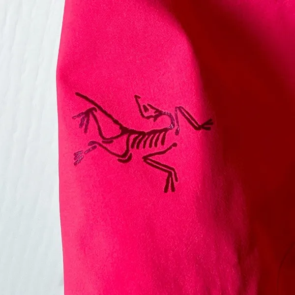 Arc’teryx Stingray Gore-Tex Ski Pants Pink Guava Women’s Medium‎ FAIR - Image 6