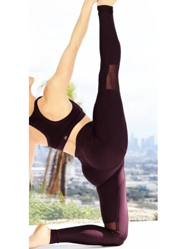 Alo Airlift High-Waist Embody Legging Oxblood Mesh Cut-Outs Cutouts Hi-Rise Pant - Image 5