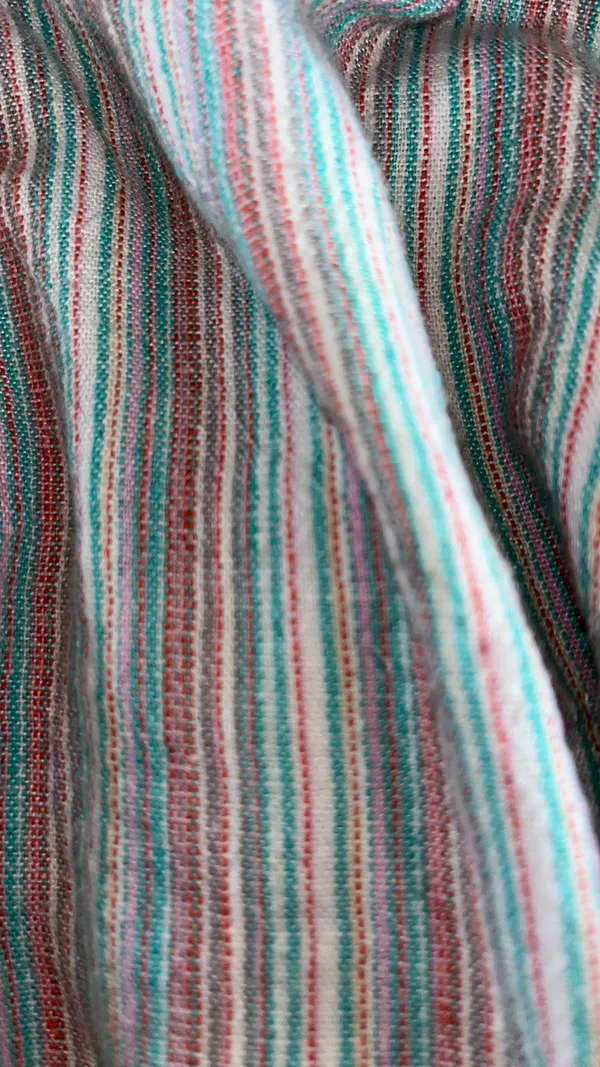 American Eagle Shorts - Image 3