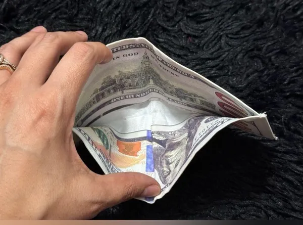 100 dollar bill themed wallet - Image 5