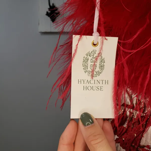 Hyacinth House Reina Red Jacquard Feather Dress NWT - Image 3