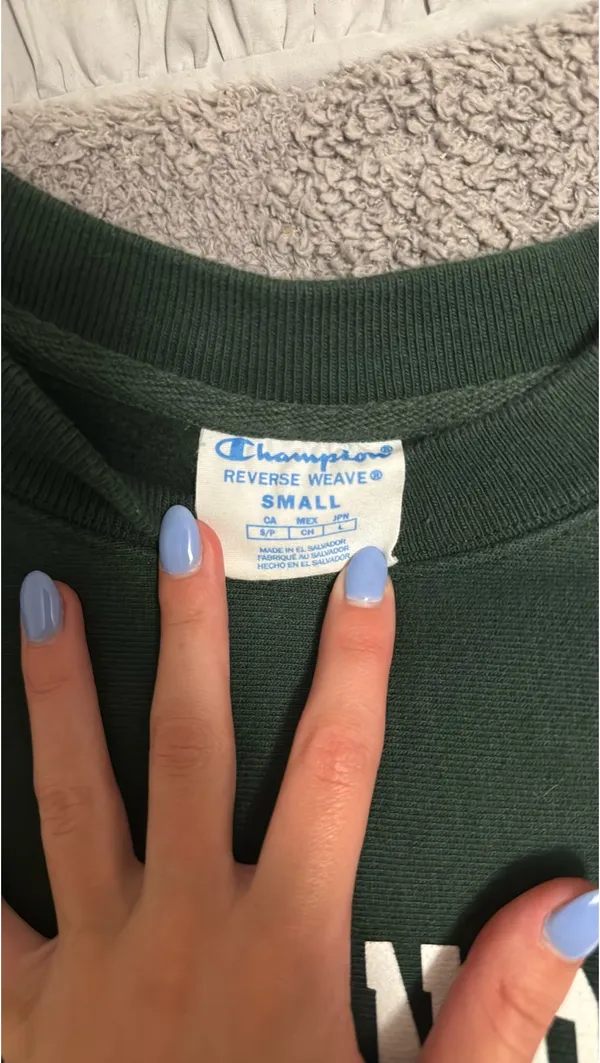 Michigan State Champion Crewneck - Image 3