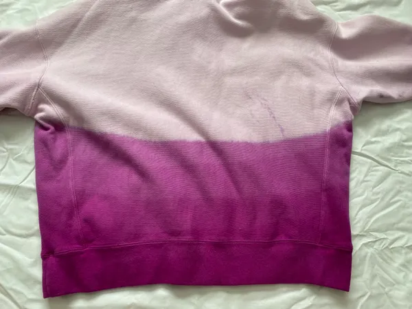 Champion Hoodie - Image 2