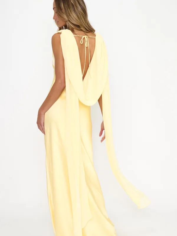 Show me your mumu maya maxi dress - Image 2