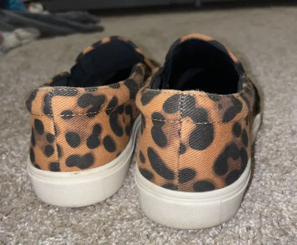 Target Cheetah Vans - Image 4