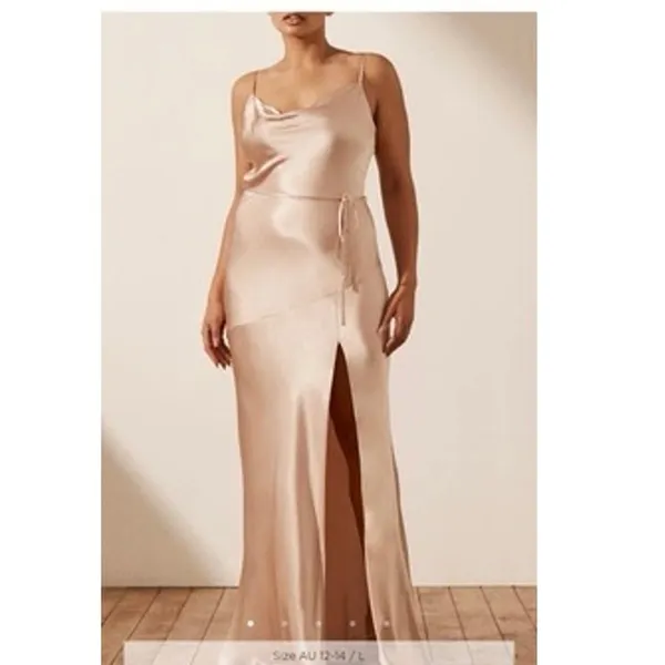 Shona Joy La Lune Bias Cowl Maxi Dress in Desert Rose Satin Size 4 Cocktail - Image 9