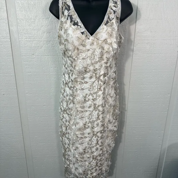 Adrienna Papell Off White Lace Overlay Sleeveless Dress Size 4 NWOT - Image 3