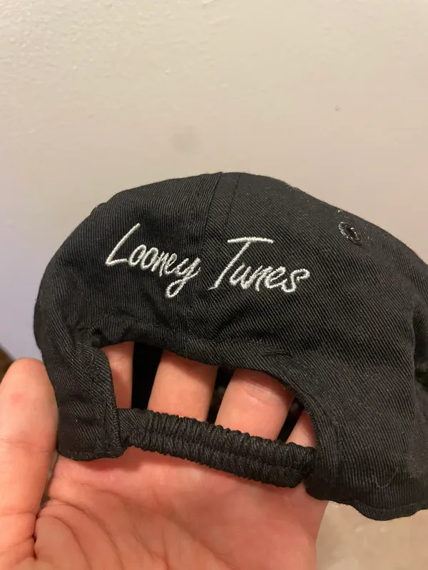 Looney Tunes Vintage 90s taz & Tweety Bird Snapback Hat Black , Clean - Image 3