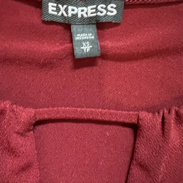 Express halter style fitted top. Burgundy in color. - Image 2