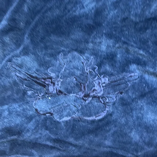 Boys Lie BLUE VELOUR CROPPED HOODIE - Image 6