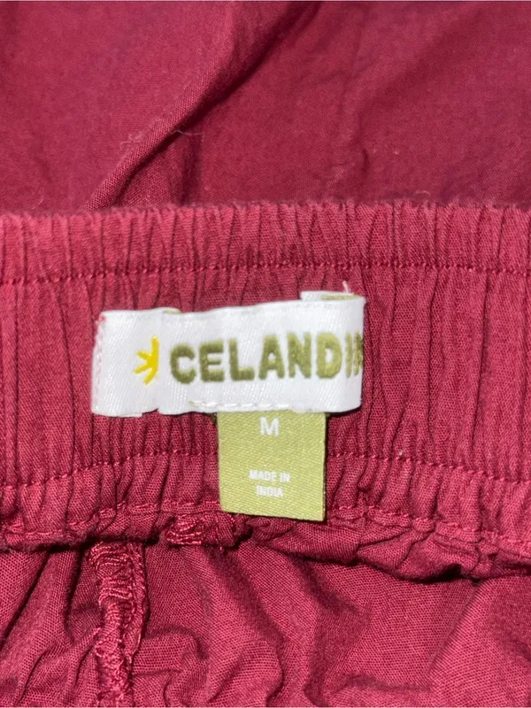 Anthropologie Celandine Burgundy Ruffle Edge Shorts - Image 4