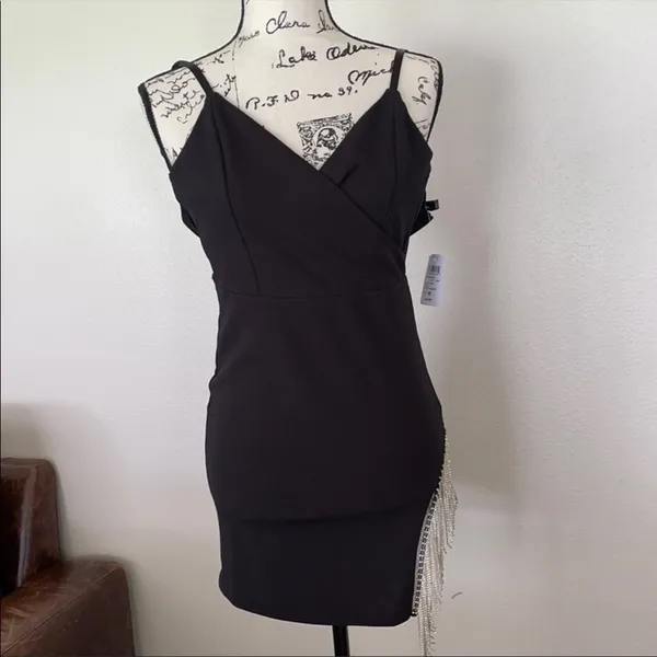 Windsor Rhinestone Fringe Dress - Image 2