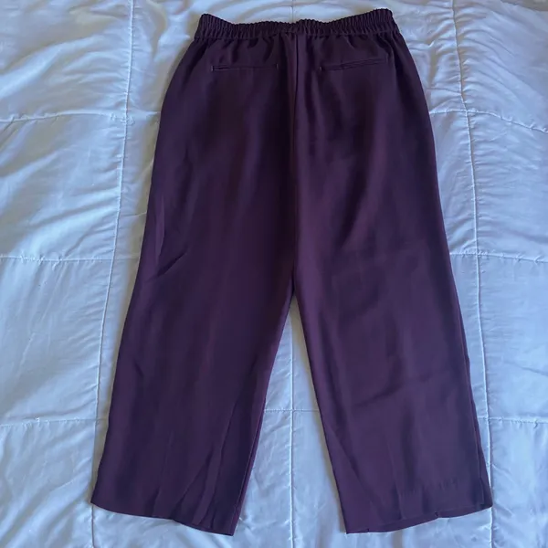 Ann Taylor Burgundy Wide-Leg Crop Dress Pants - Image 3
