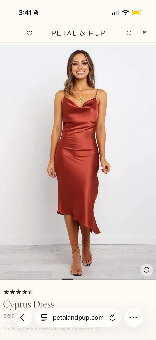 Petal & Pup Cypress Dress - Rust - Image 2