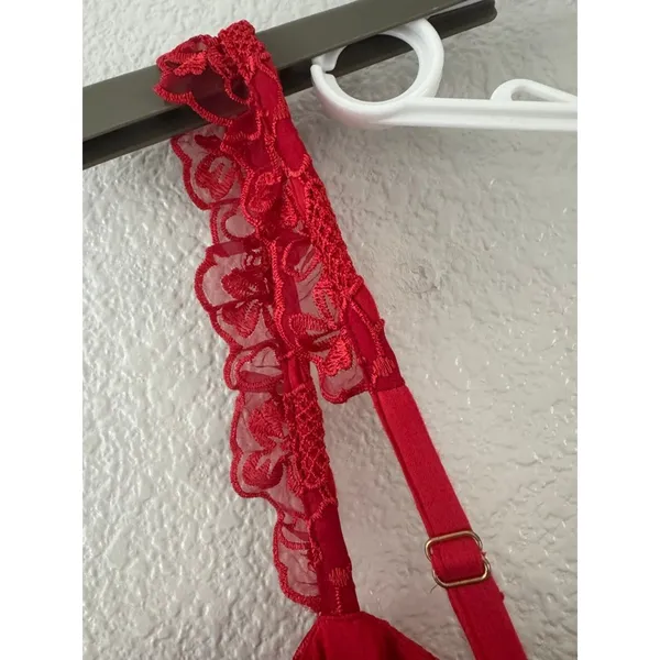Anthropologie Ruffle Strap Corset Lace Mini Dress Lipstick Red Coquette NWT XL - Image 6