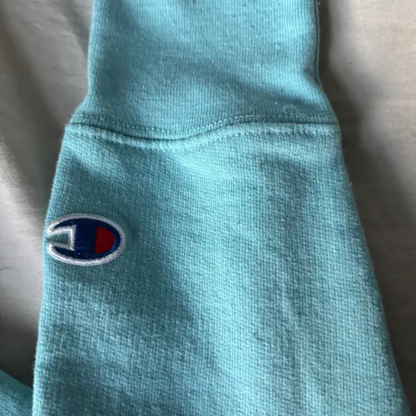 Champion Hoodie - Image 3