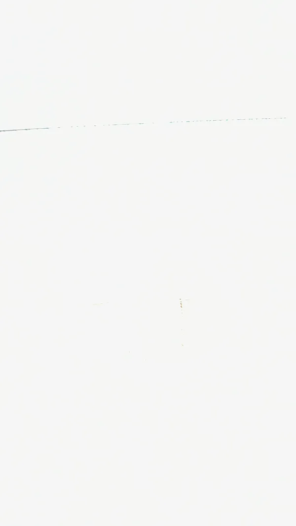 White Tank - Image 2