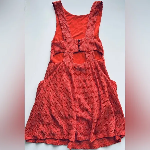 Persimmon Lace sleeveless Poppy Cutout Mini Dress open back fall XS - Image 2