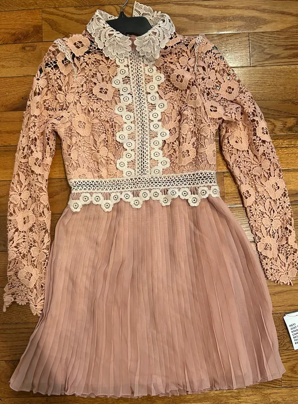 ASOS DESIGN rose Victorian-inspired Pleated Lace Dream Mini Dress 6 - Image 12
