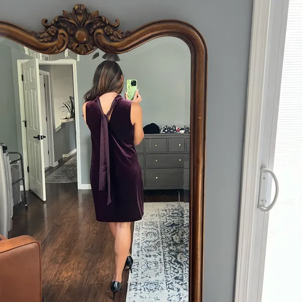 Ann Taylor Plum Velvet Dress - Image 3