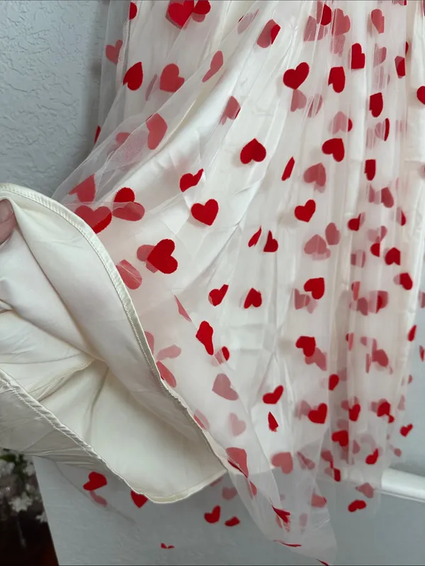 Queen of Hearts White Tulle Dress Red Velvet Heart Tulle Overlay Whimsical - Image 4