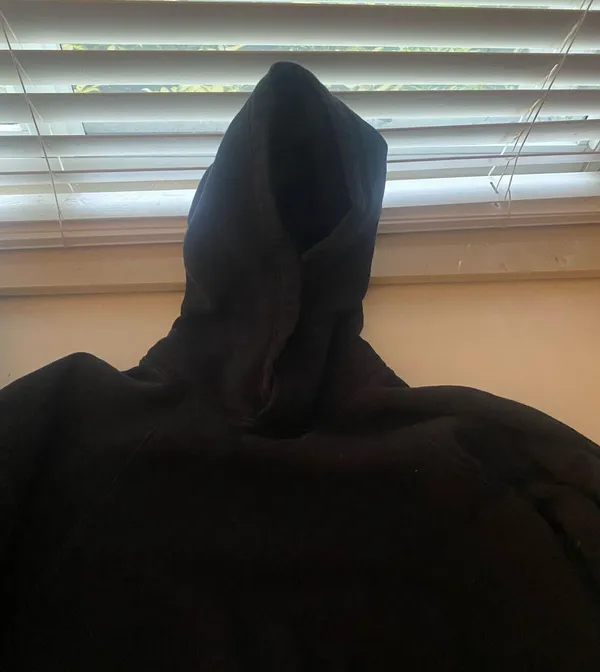 TNA Aritzia Hoodie - Image 2