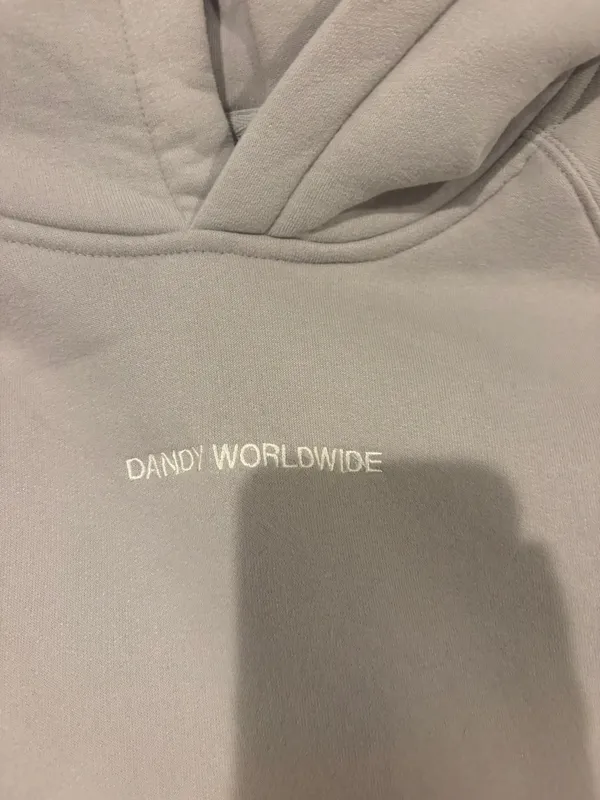 Dandy Worldwide Hoodie Oversized - Image 4