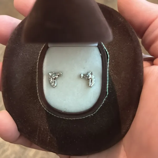 AWST Int'l Horse‎ Head Earrings w/Brown Cowboy Hat Gift Box NEW - Image 5
