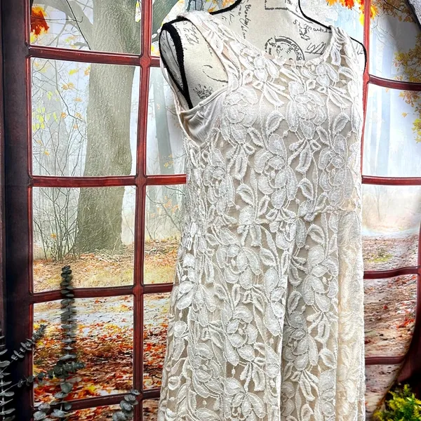 Free People Lace Sleeveless Mini Dress Beige M - Image 6