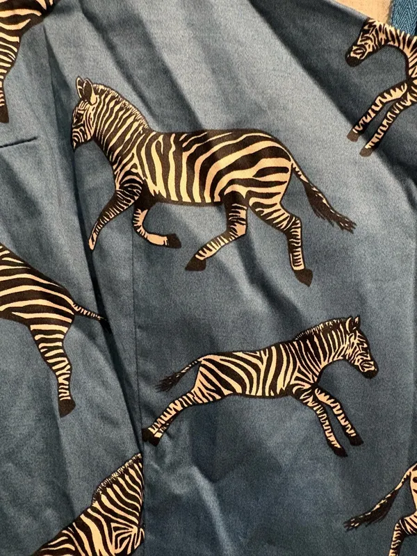 Harkel dress novelty zebra print whimsical blue sweetheart neck sz 8 M - Image 2