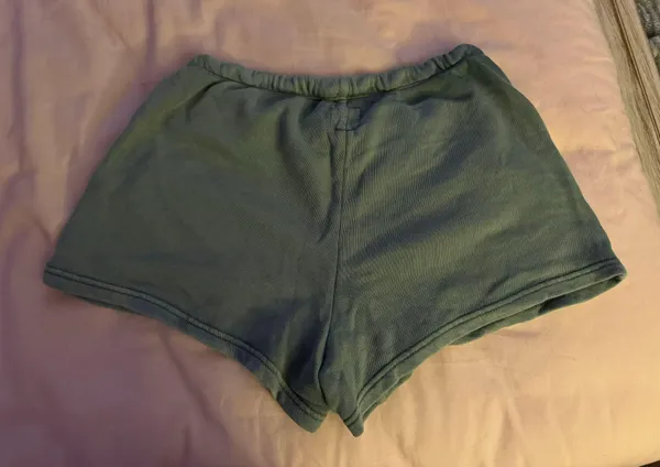 Aerie Shorts - Image 2