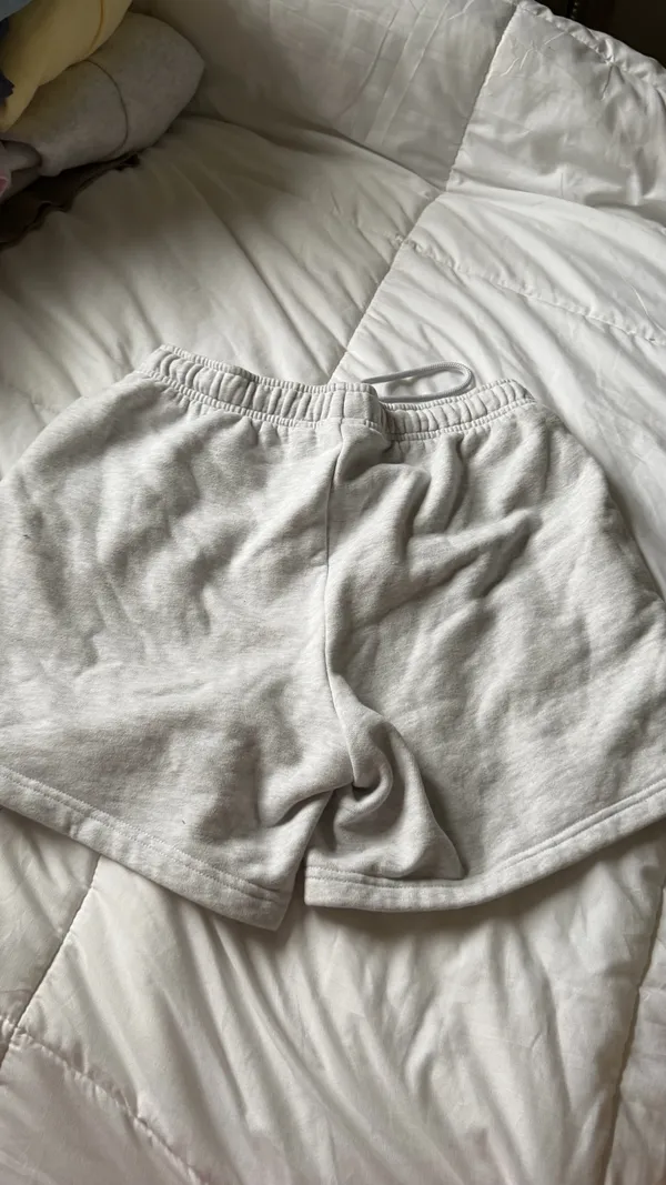 Aritzia Shorts - Image 4