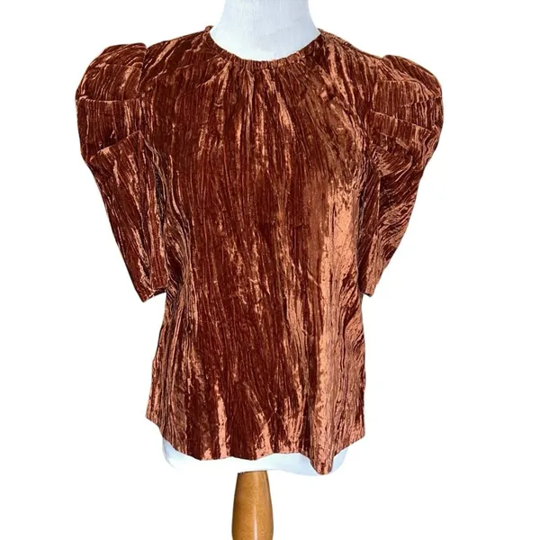 NWT $69 LEYDEN‎ Womens S Orange Rust Crushed Velvet Pouf Short Sleeve Top Blouse - Image 3