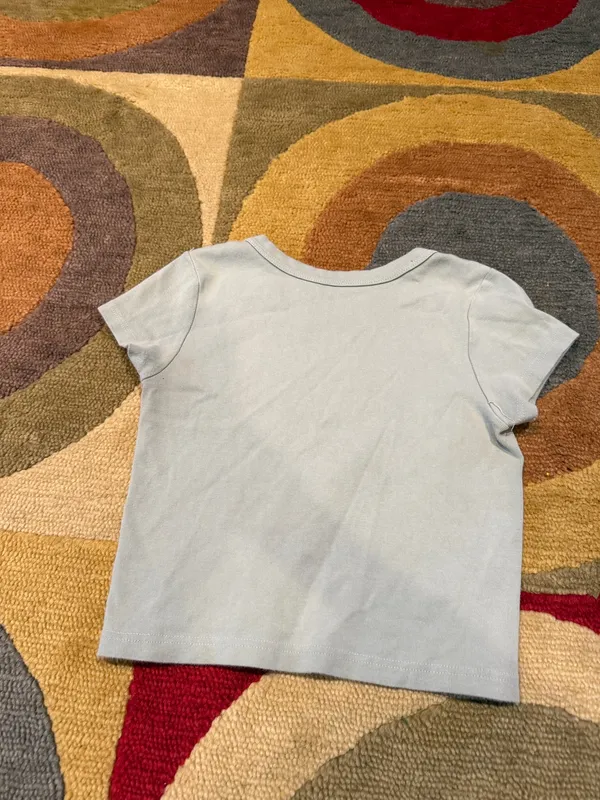 Brandy Melville Hamptons New York Crop Top Graphic Shirt 100% Cotton One Size - Image 3