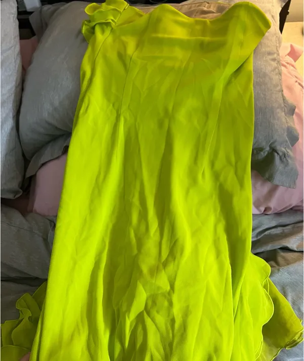 Nehna NBD dress  - Image 10