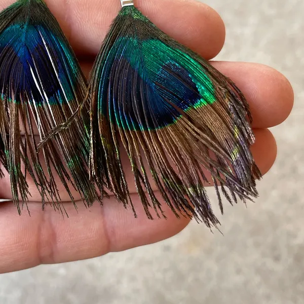 Peacock feather fishhook earrings Blue - Image 3