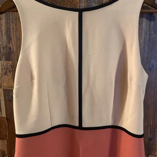 Ann Taylor Loft color block dress (Pink) size 8 - Image 3