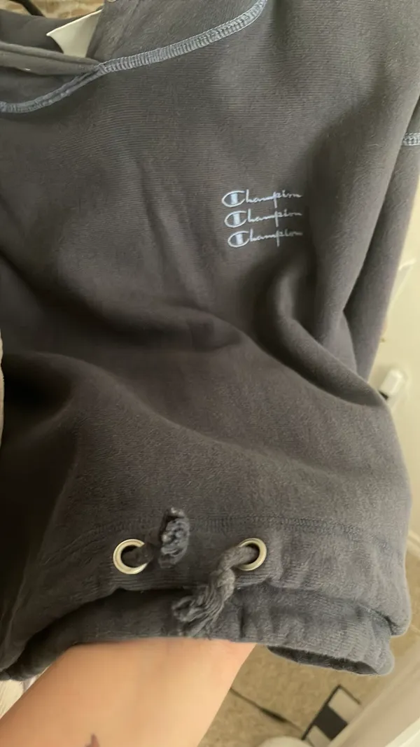 Champion Crop Hoodie Reverse Weave - Image 4