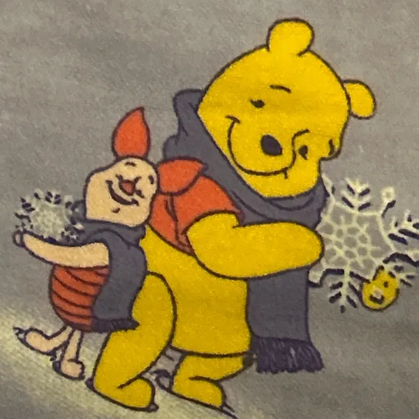 Winnie the Pooh and piglet 2pc pj set vintage Disney Size M. NWOT - Image 12