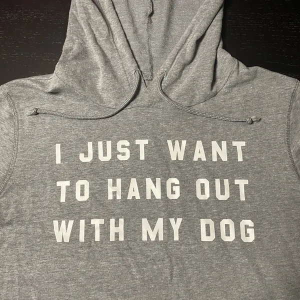 Gray Dog Lover Hoodie - I Just Want To Hang Out With My Dog - Image 2