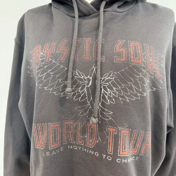 Hollister Cropped Graphic Hoodie Pullover Sweatshirt Loungewear‎ Casual Small - Image 5