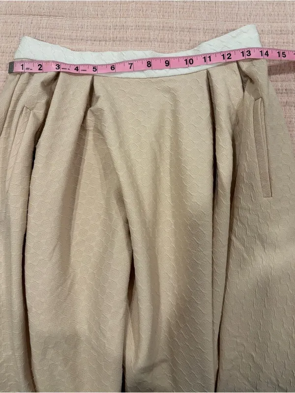 Torn by Ronny Kobo Almond May‎ Textured Lena Pleated Midi Skirt size Medium - Image 10