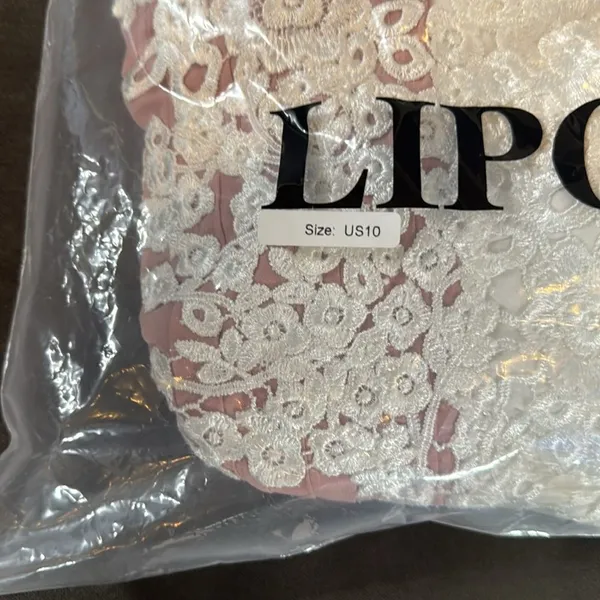 Women’s Ivory Lace Top Pink Chiffon V-Neck Cap Sleeves Formal Dress Size 10 NEW - Image 13