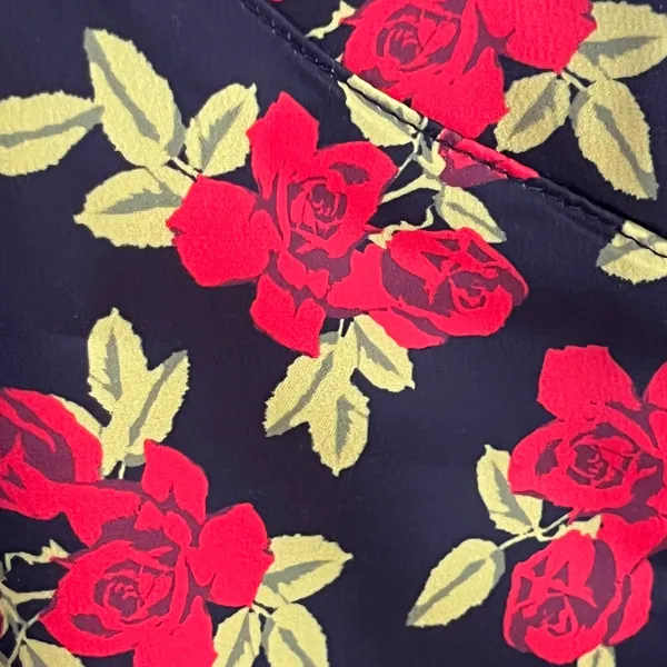 Urban‎ Outfitters Red Rose Floral Mini Slip Dress Black V-Neck Size Large 90s - Image 2