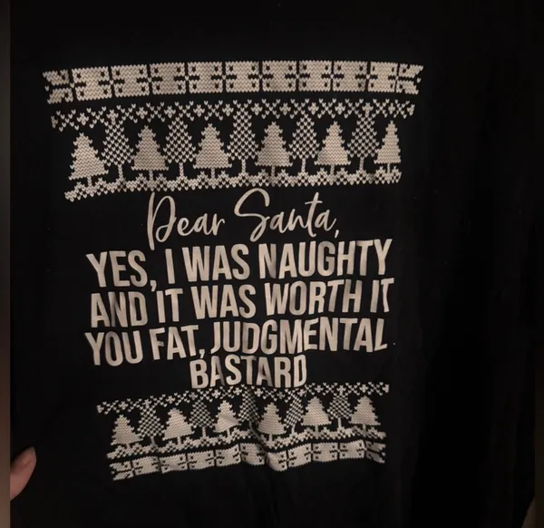 Dear Santa Humor Funny Christmas Unisex Shirt - Image 2