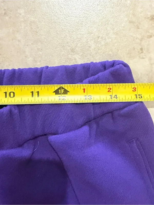 Samii Ryan Wicked For Good Elphaba Change The World Purple Sweatpants med - Image 3