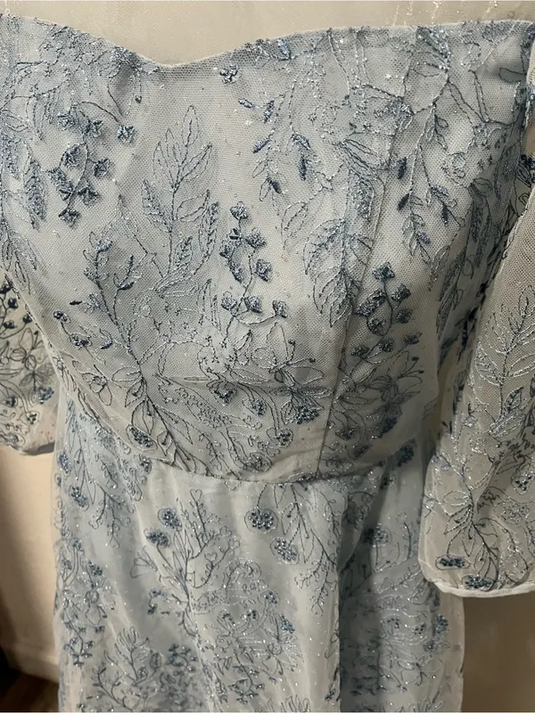 NWT Goelia Blue See-Through Mess Embroidered Dress Size 4 (Small) - Image 3