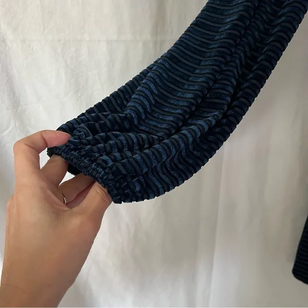 Lulu’s Ticket to chic Navy Blue Striped Velvet Balloon Sleeve dress Size small - Image 5