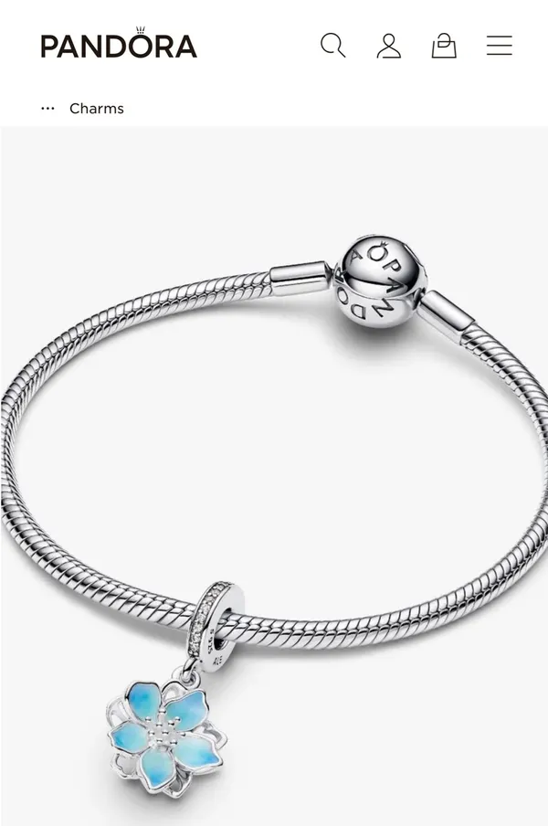 Pandora Charm Dangle - Image 3